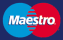 maestro logo