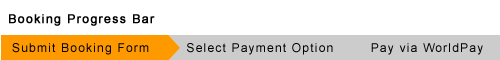 progress bar showing 3 stages: form fill, payment option, pay via worldpay